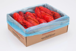 SLS_Cooked_Lobster_Netted_in_box_WEB