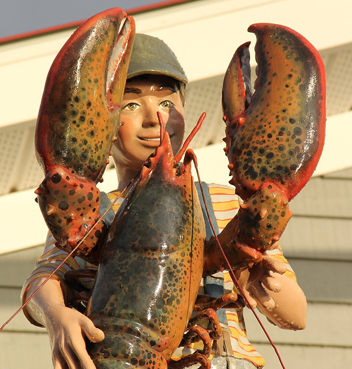 3D-Display-Lobster